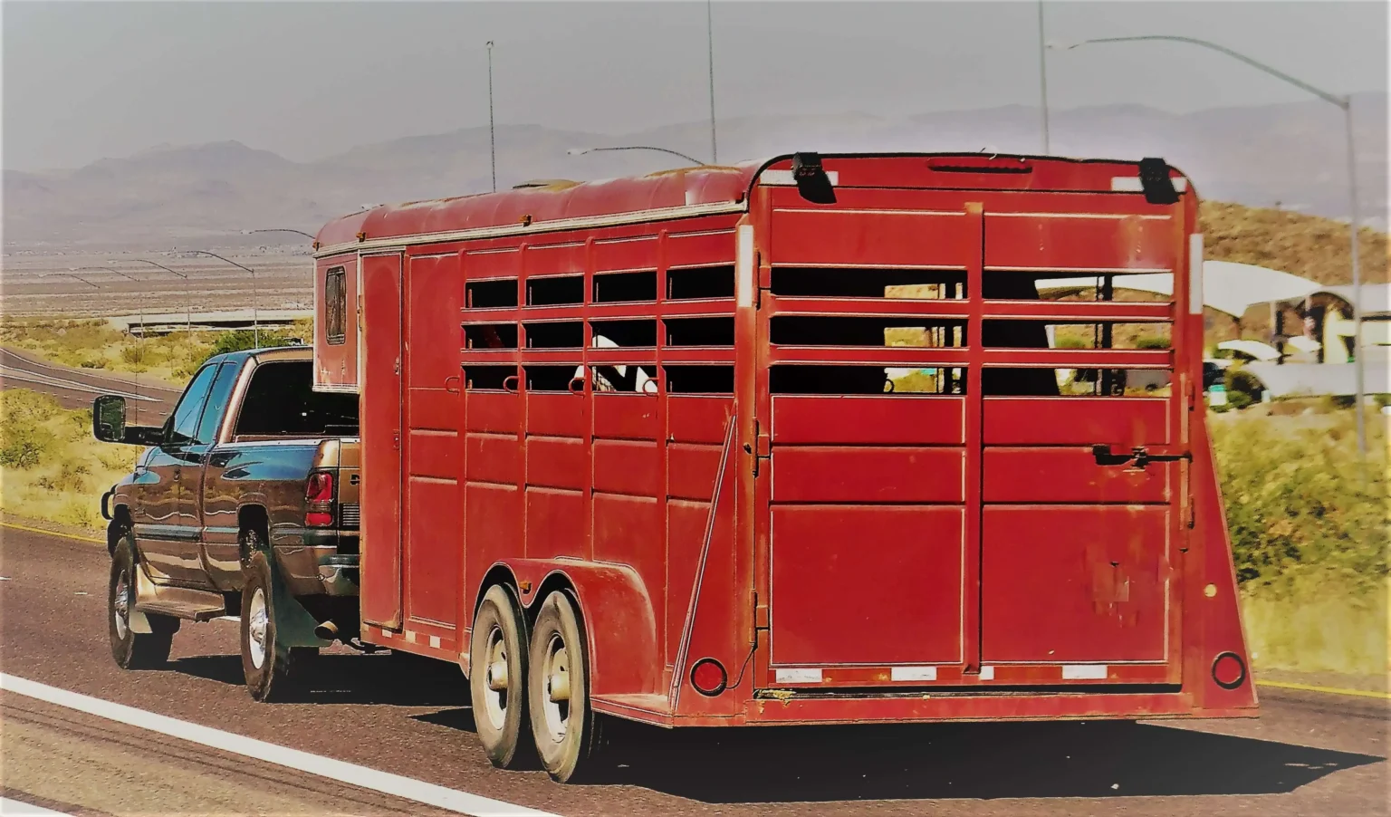 Horse Trailers