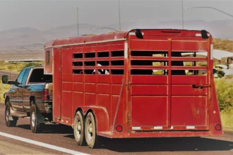 Horse Trailers