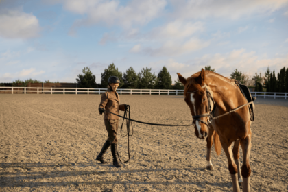 horse rider trainer